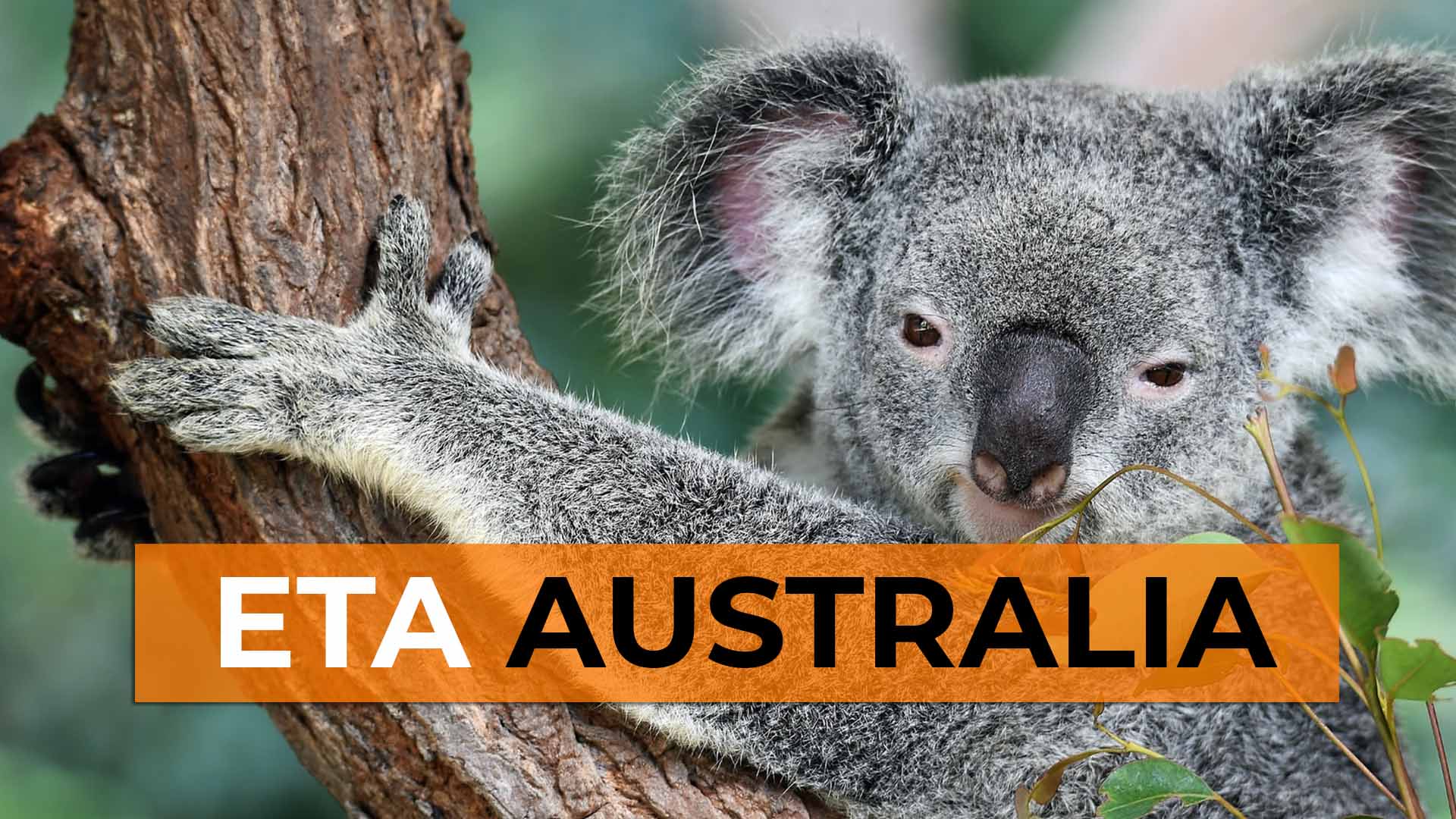 Electronic Travel Authority - ETA Australia - DE - Cover