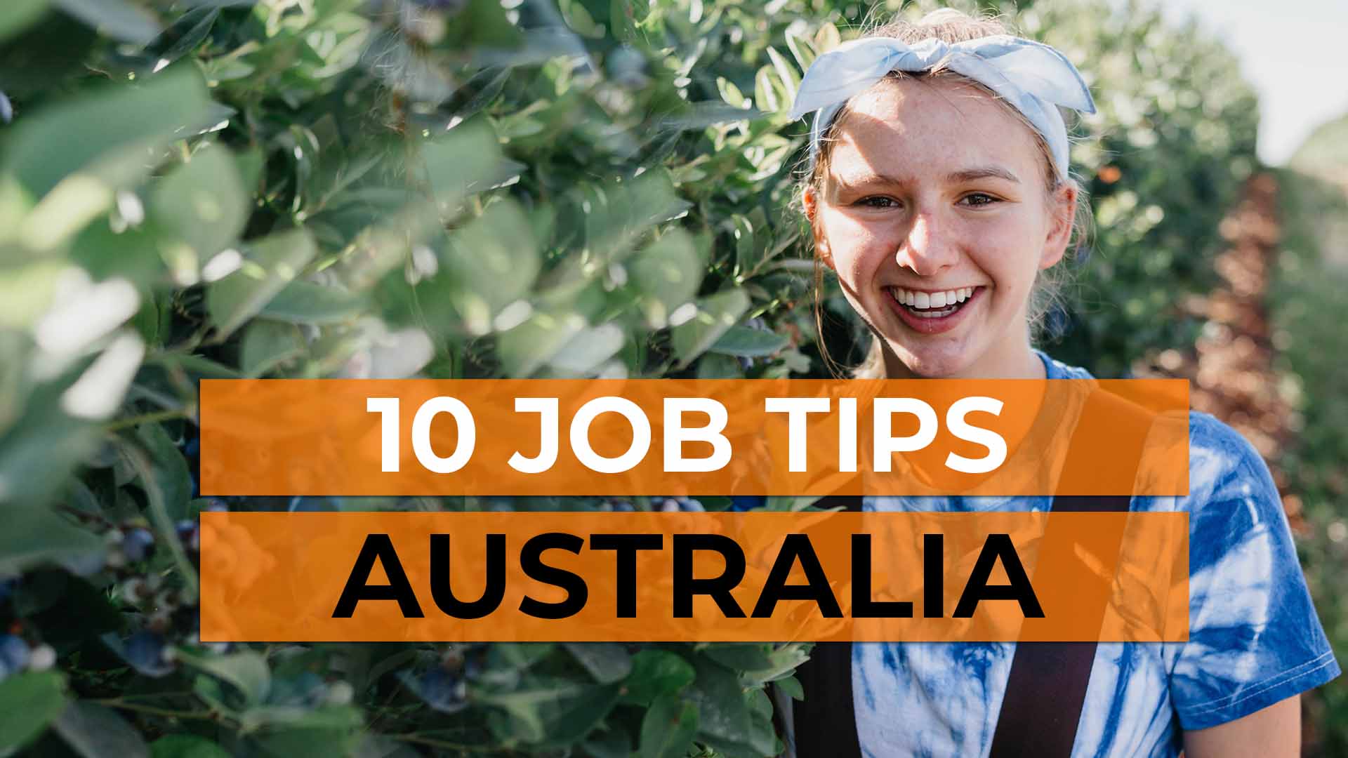Op de loer liggen Samenhangend Offer Top 10 tips for backpacker jobs in Australia Working Holiday 2023
