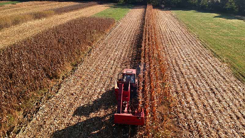 Farm work is a good way to find a job and make money in Australia